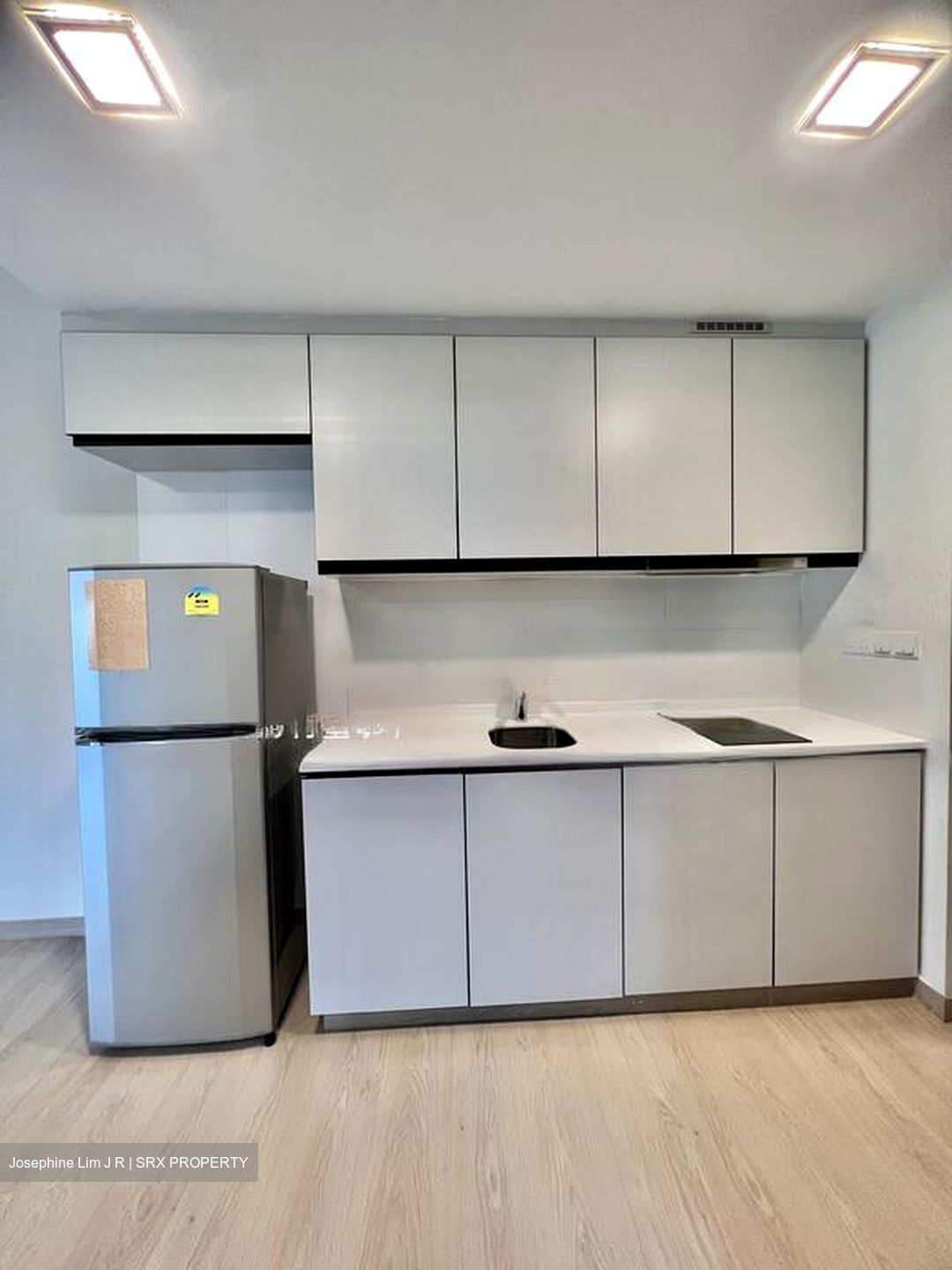 RiverParc Residence (D19), Condominium #613245171